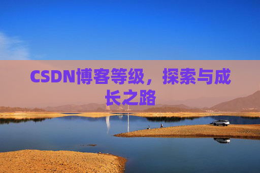CSDN博客等级,探索与成长之路